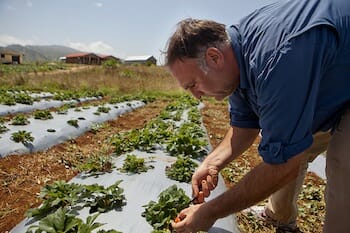 jose_andres_pic_2.jpg