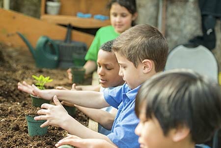 stock_--_kids_planting_flowers_blog.jpg