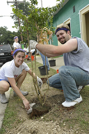volunteers plant a tree
