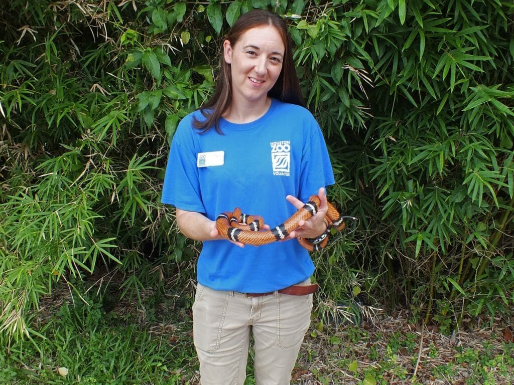 Layfield holding one of the Houston Zoo's residents, Favre the snake.