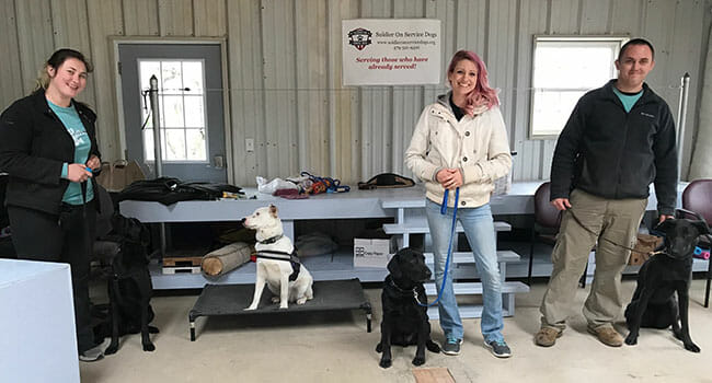A small army of volunteer trainers teach service dogs basic commands while they are still puppies.