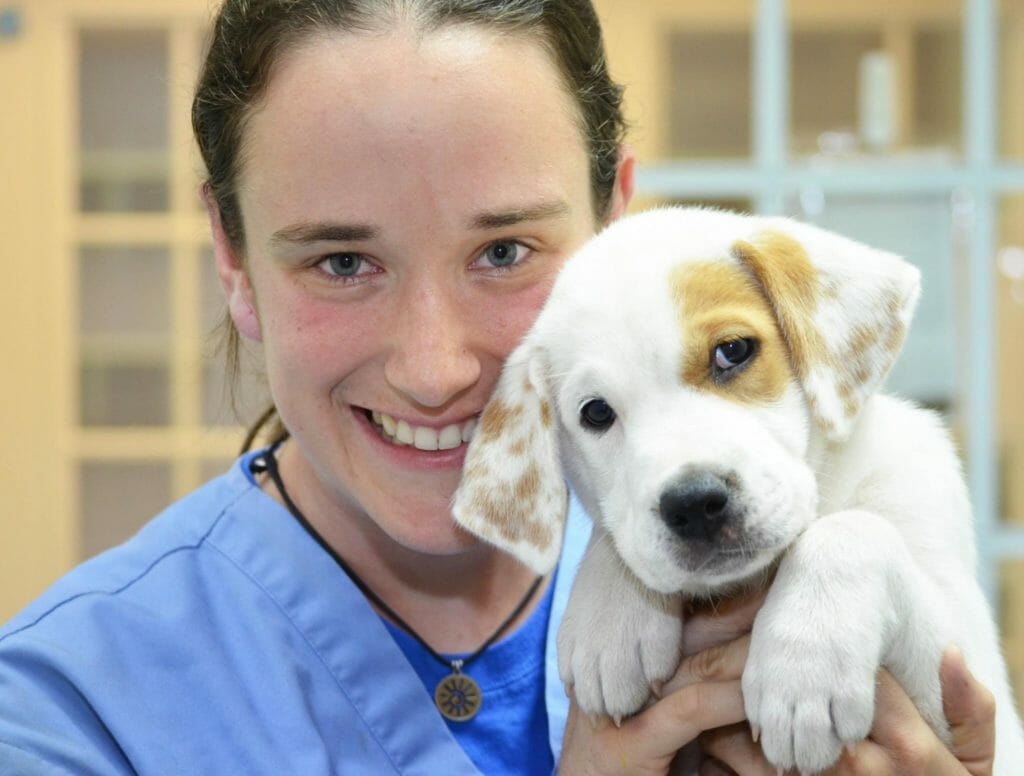 Danielle with a six-week-old puppy at Second Chance Pet Adoptions./Courtesy Danielle Myzk