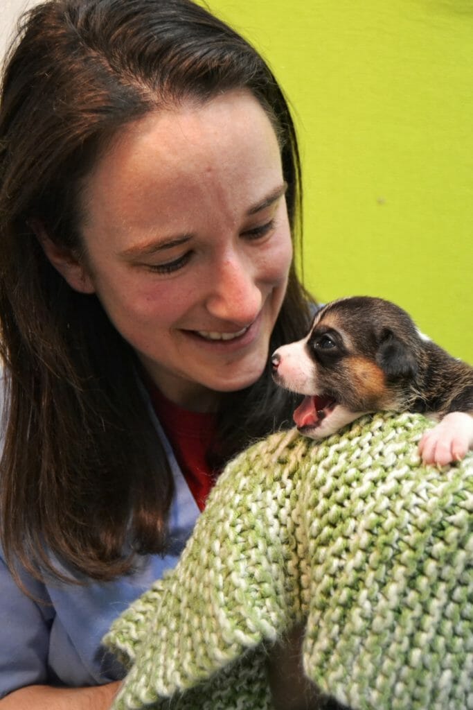 Danielle caring for a five-day-old puppy./Courtesy Danielle Myzk