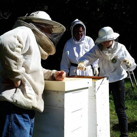 Elizabeth (right), with the help of her mentor, Master Beekeeper Rob Overton (left), teaches New York Assemblyman James Skoufis about bees.