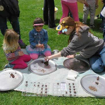 Elizabeth helps two young girls make wildflower bonbons that can be used to regrow the wildflowers that bees depend on for food.