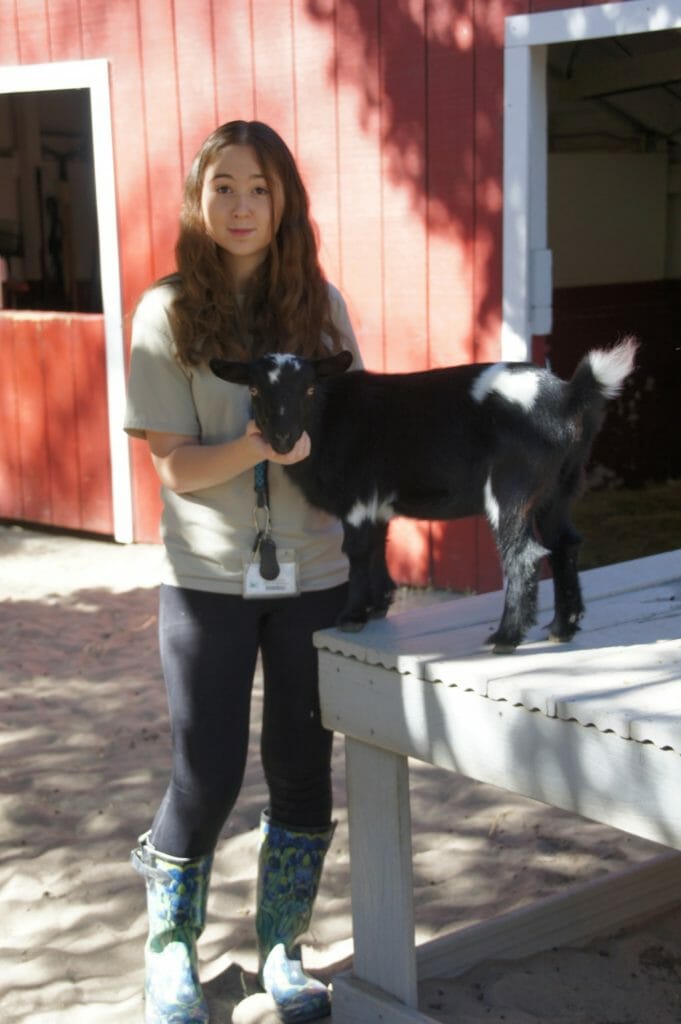 Jenna volunteering at the Idaho Falls Zoo's petting farm./Courtesy Jenna Bauer