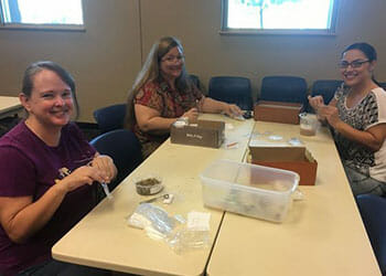 The seed packets are stored in repurposed library card catalogs, and local residents can "check out" seeds with their library card.