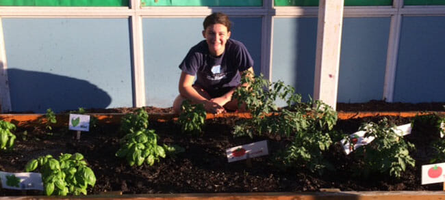 Sophie Bernstein started a community garden as a project for her bat mitzvah. Now, her Grow Healthy initiative has expanded to include 35 gardens and more than 750 volunteers.