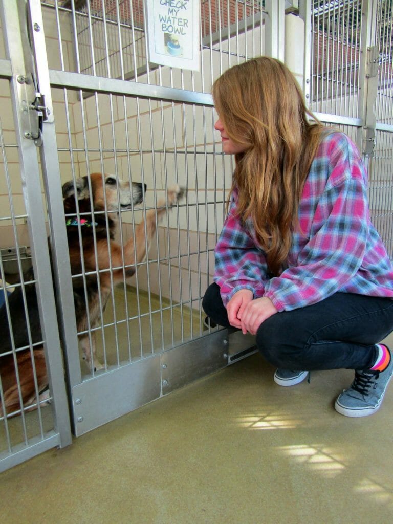 Harley visiting Butterscotch, a furry resident of the Cuyahoga County Animal Shelter in May./Courtesy Harley Helman