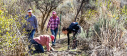 Clif Bar employees in Twin Falls, Idaho, rebuilding trails and picking up trash during the Companywide Service Day at Centennial Park.