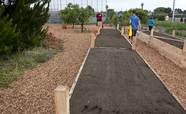 Employees from Clif Bar headquarters spent the day volunteering with Urban Tilth, a nonprofit that cultivates agriculture. The “Clifsters” weeded, planted and built raised garden beds, picnic tables and a pollinator habitat.