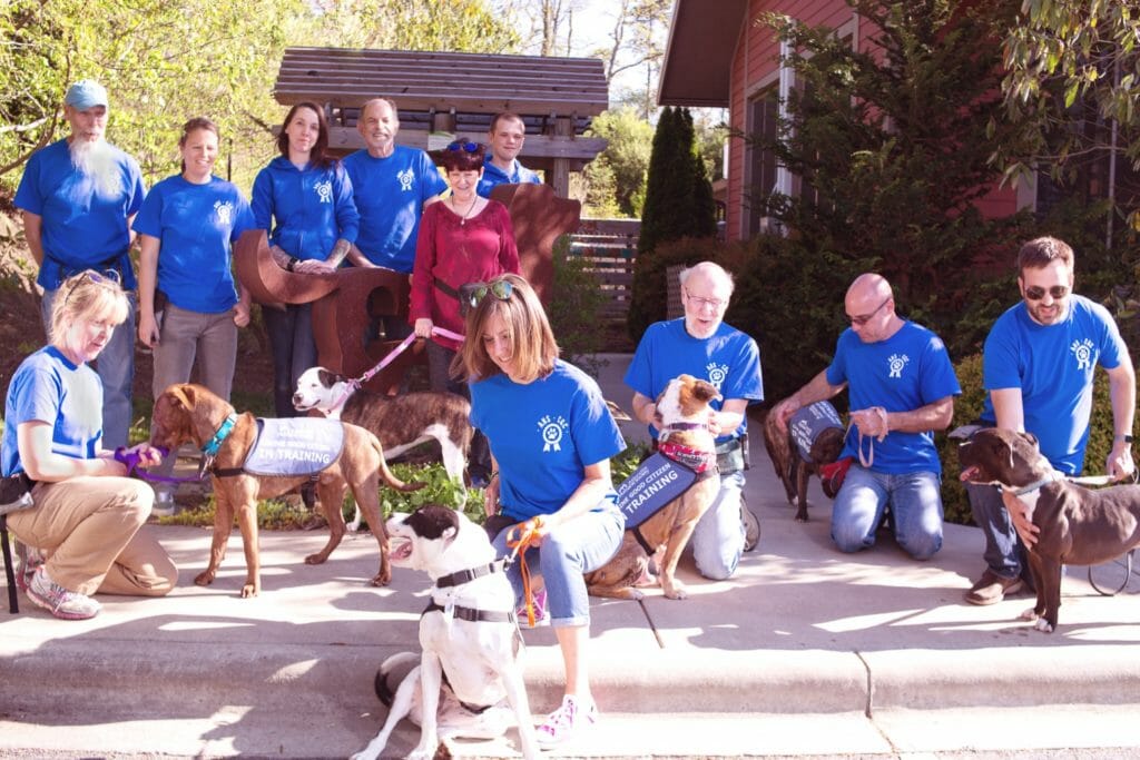Elliot (fifth from left) started Asheville Humane Society's Canine Good Citizen Readiness Program which teaches harder to adopt dogs social skills, making them more highly adoptable and ready to handle life outside of the shelter./Courtesy Caren Harris Photography