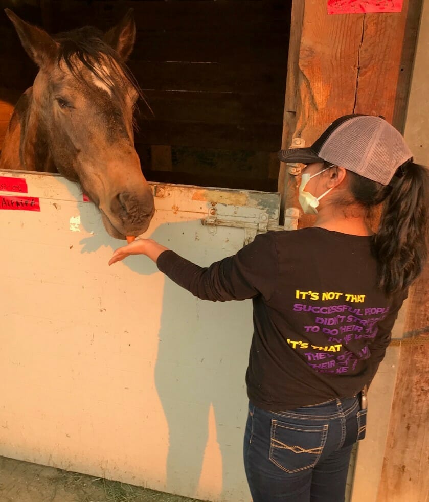 Lesly comforting a horse during the Thomas Fire in California./ Courtesy Lesly Diaz 