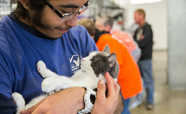 Homeless pets across the country are being saved by organizations like Best Friends Animal Society, which is certifying its network of shelters as Service Enterprises so they can better meet their mission to “save them all."