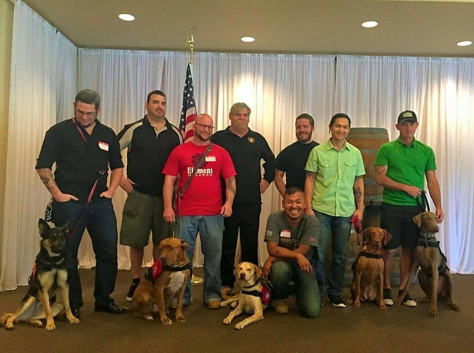 Smiling (and waggin) graduates of the 4 Paws 4 Patriots training program./Courtesy Tim LeBlanc