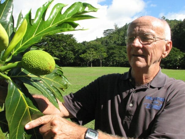 Loren Johnson first started volunteering at the Kauai garden to assist in the Breadfruit Research Orchard./Courtesy Loren Johnson