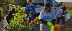 Volunteer Canada Nonprofit Recognition