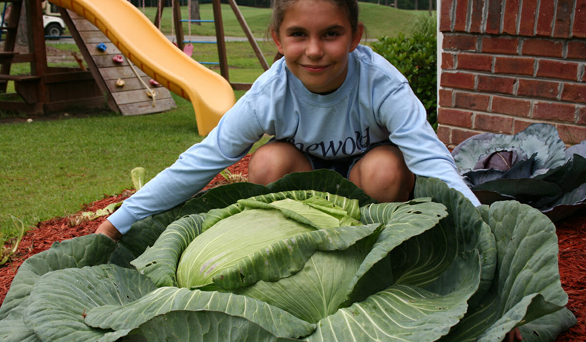 Katie Stagliano Daily Point of Light Award Honoree