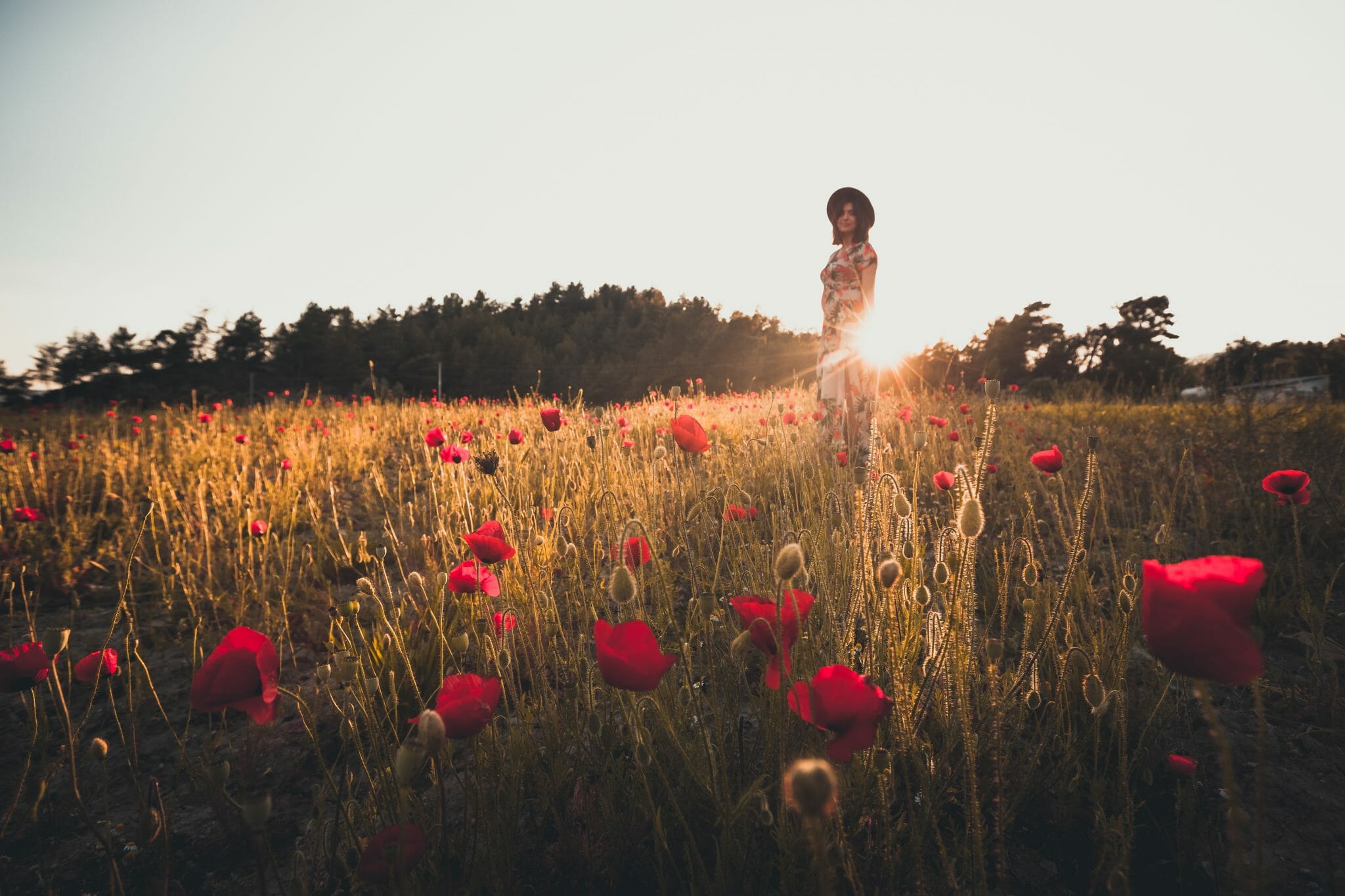 Set an Intention for More Civic Engagement - Points of Light