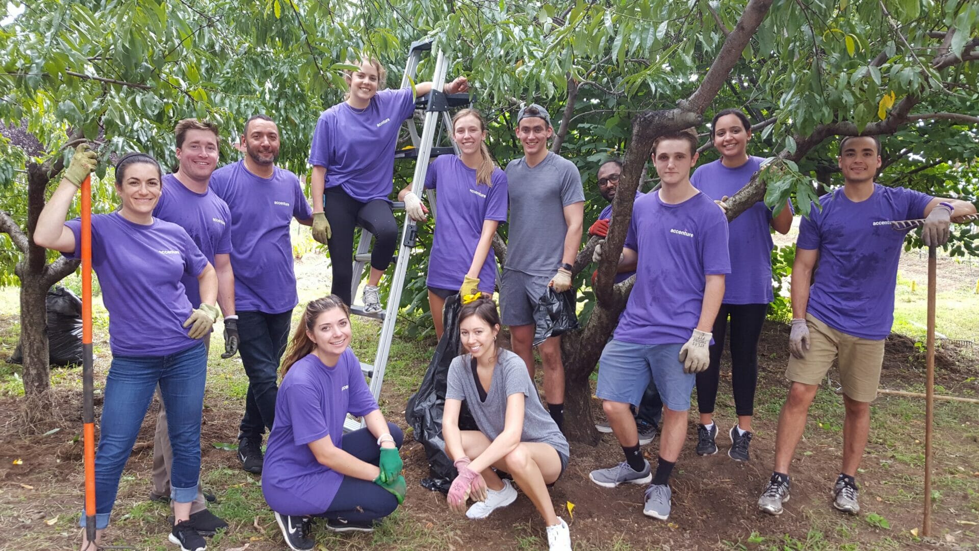  Lifting As We Climb How Service Became A Step Up Points Of Light