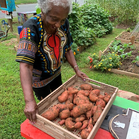 Rosa Johnson Daily Point of Light Award Honoree 