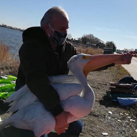 Bob Nightwalker Daily Point of Light Award Honoree