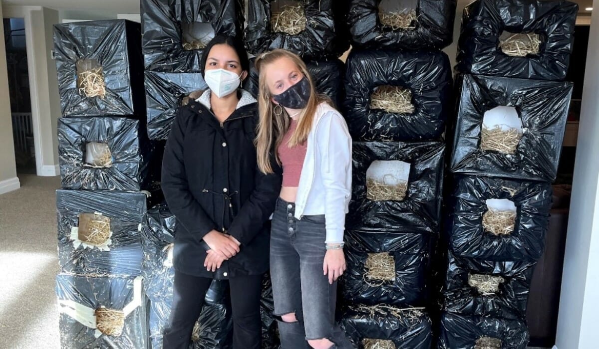 Two teenagers standing in front of a pile of handmade cat shelters.