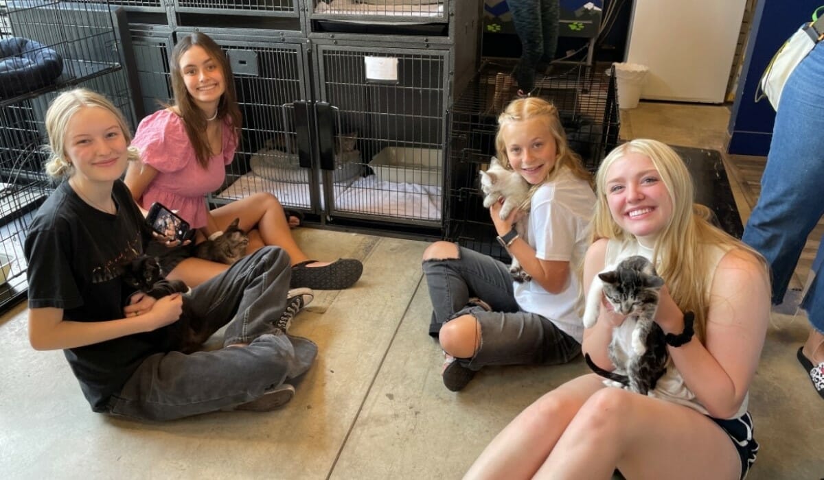 Four girls sitting on the floor holding kittens