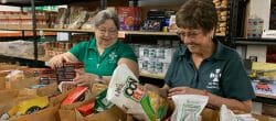 Two women in green shirts pack paper bags with donated food.