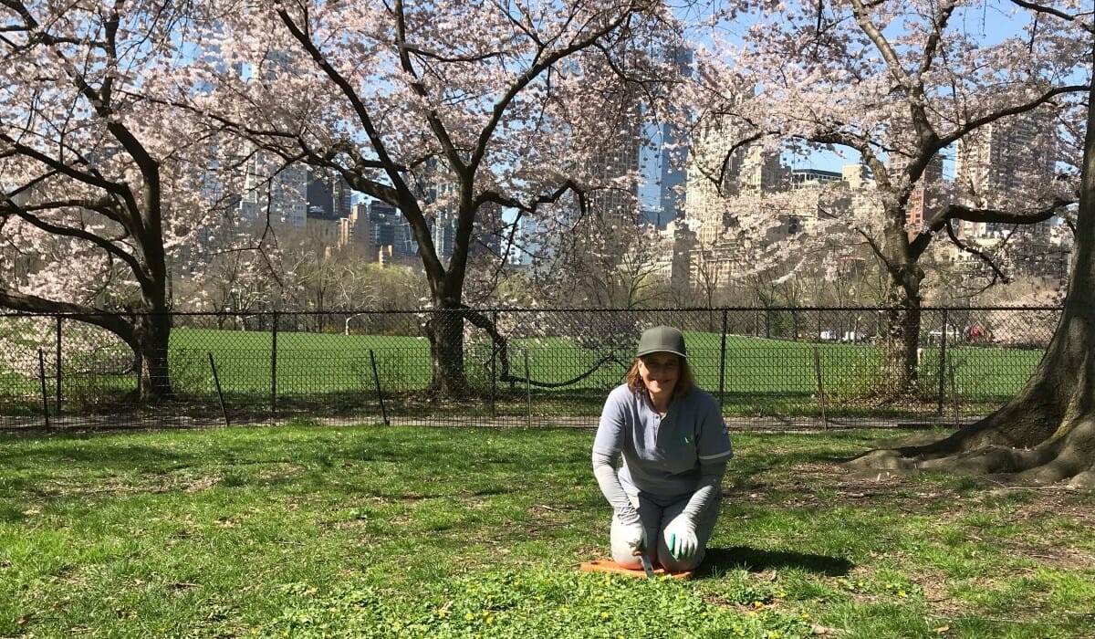 Woman kneels on the grass in a park with blossoming trees in the background.
