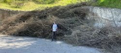 Man stands in front of a large pile of brush.