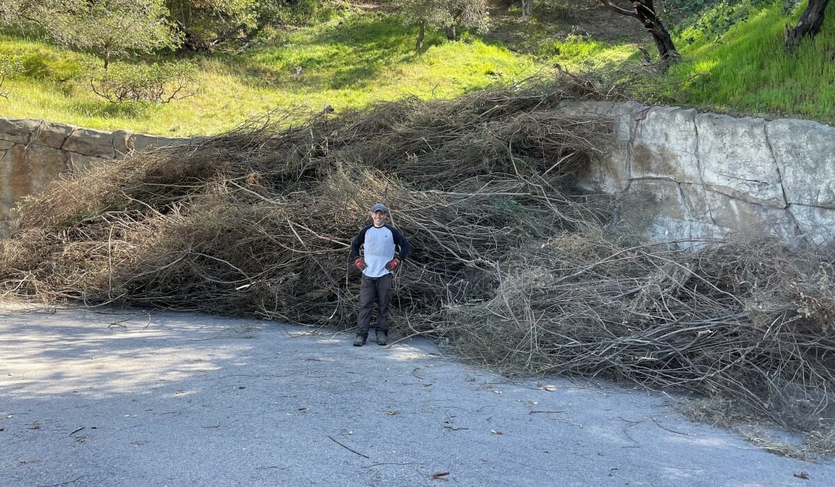 Man stands in front of a large pile of brush.