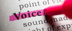 Use Your Voice During Elections Tips for Employees and Organizations