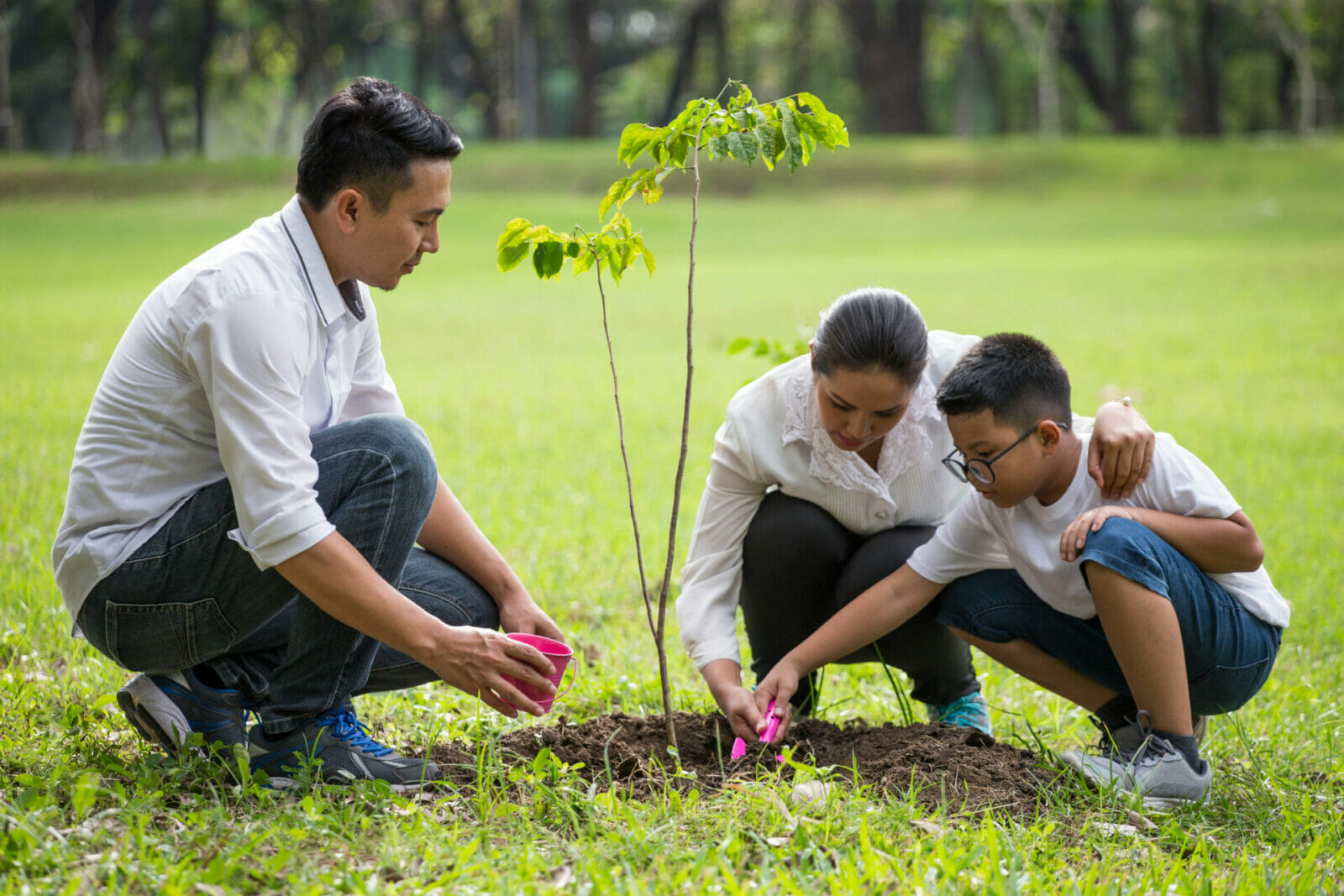 Photo of family planting a tree together