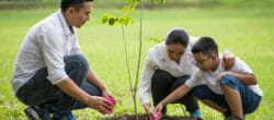 Photo of family planting a tree together