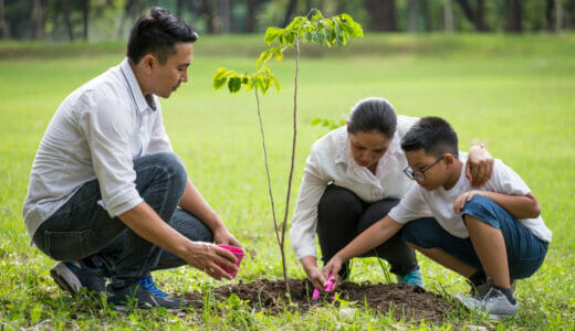 Photo of family planting a tree together