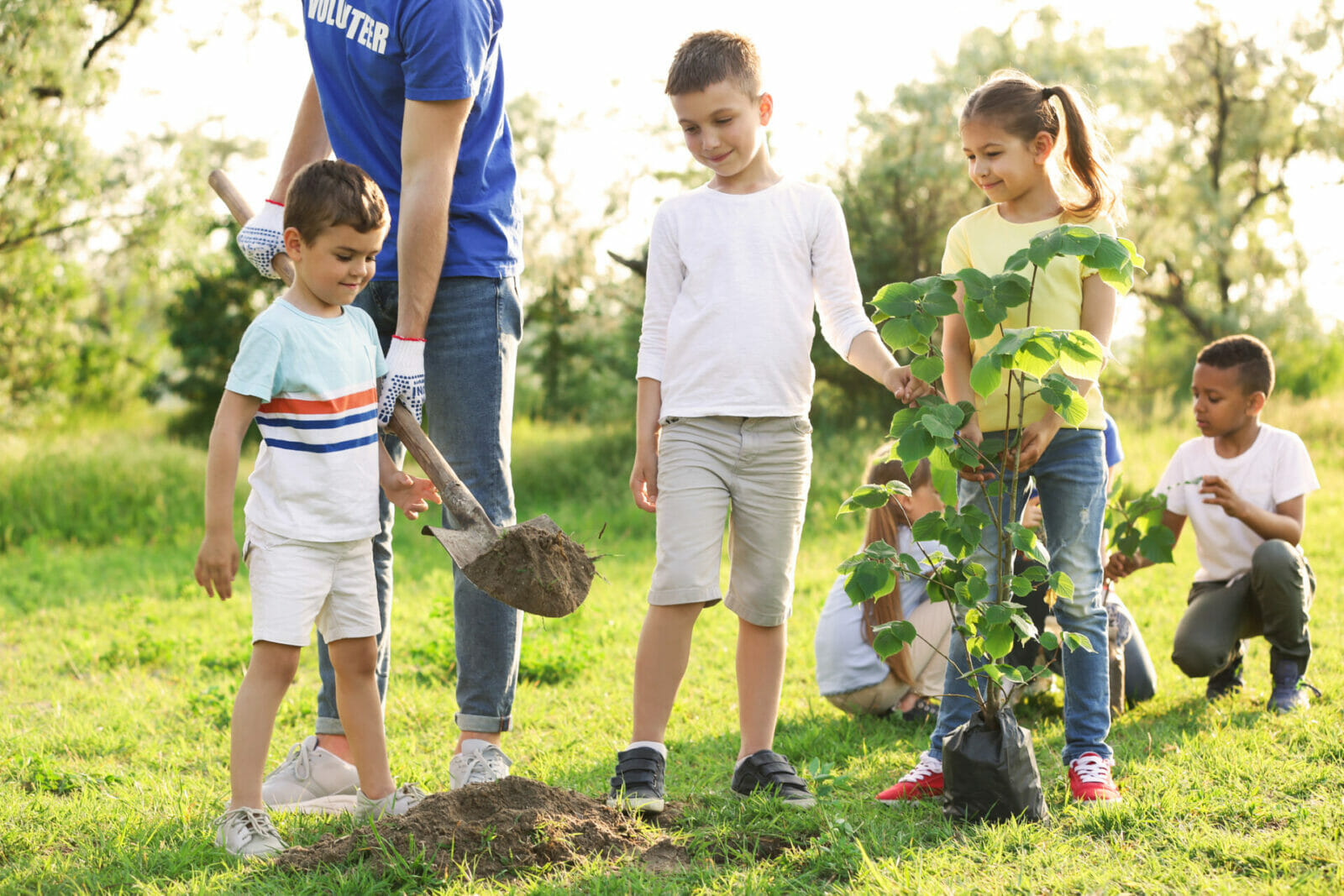 family volunteering