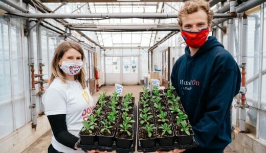 International Day of Volunteering