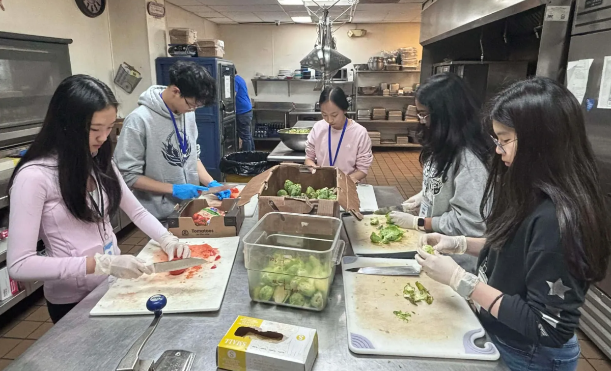 Where Every Skill Finds a Purpose and Every Volunteer a Place 